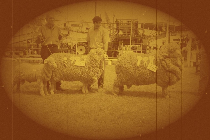 gallery/conjunto grasso expo salto